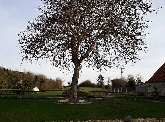 Le Vieux Noyer Liesville-sur-Douve